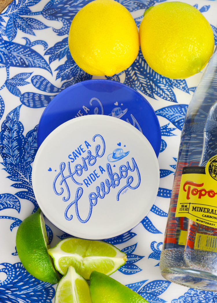 Save A Horse Coaster