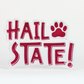 Hail State Acrylic Block Shelfie