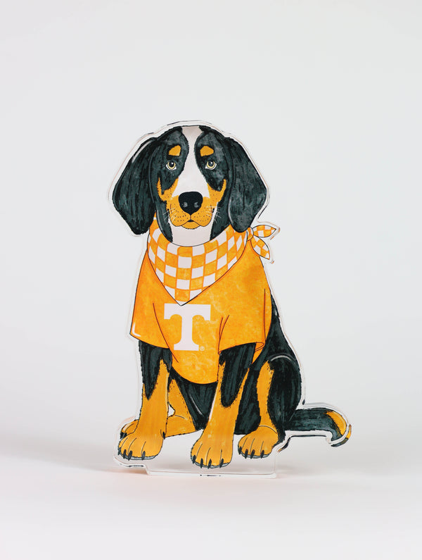 Smokey Acrylic Block Shelfie