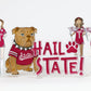 Hail State Acrylic Block Shelfie