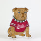 Bully Bulldog Acrylic Block Shelfie