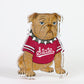 Bully Bulldog Acrylic Block Shelfie