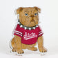 Bully Bulldog Acrylic Block Shelfie
