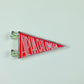 Alpha Chi Omega Acrylic Pennant Flag Shelfie