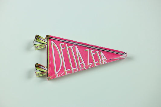 Delta Zeta Acrylic Pennant Flag Shelfie