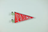 Alpha Chi Omega Acrylic Pennant Flag Shelfie